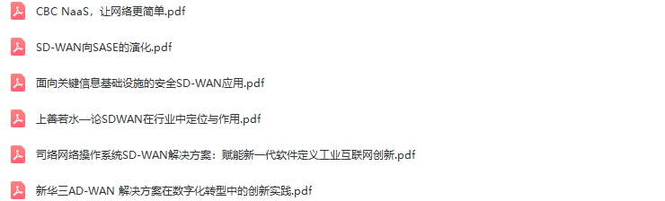2021中国SD-WAN峰会-核心PPT资料